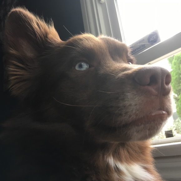 Fre$h Fattie here - Picture 2 of 5